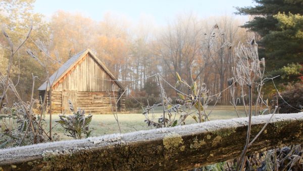 A wooden fence in the foreground with a small barn nestled among trees in the background.