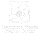 baltimore woods logo