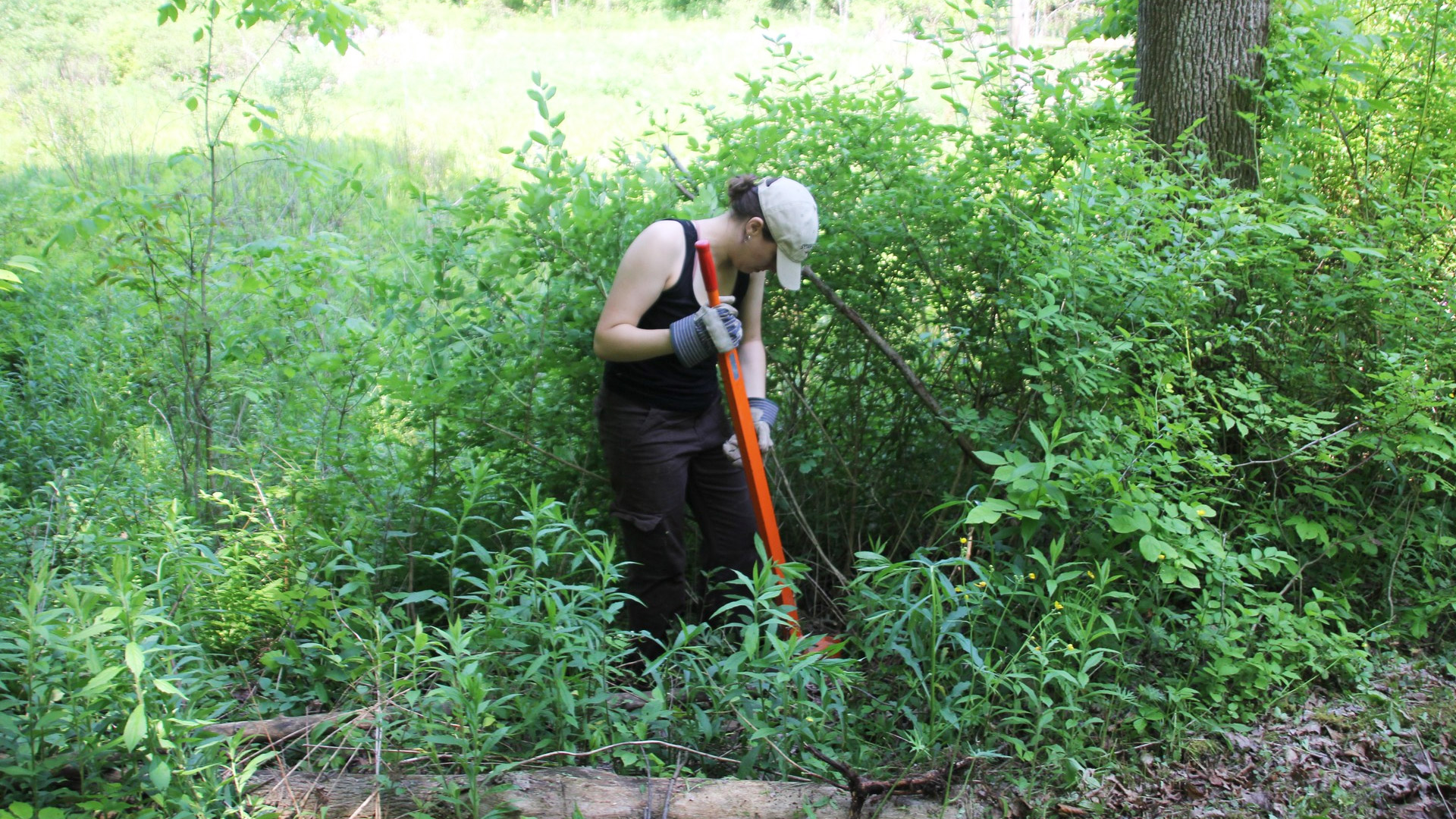 a volunteer working outdoors